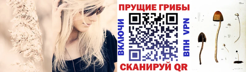 наркотики Сургут darknet формула Псилоцибиновые грибы Psilocybine cubensis