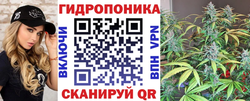 Марихуана конопля Сургут